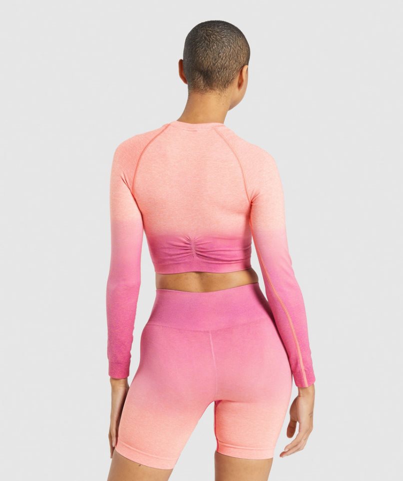 Women's Gymshark Adapt Ombre Seamless Long Sleeve Cropped Tops Pink | NZ 8JUNRC